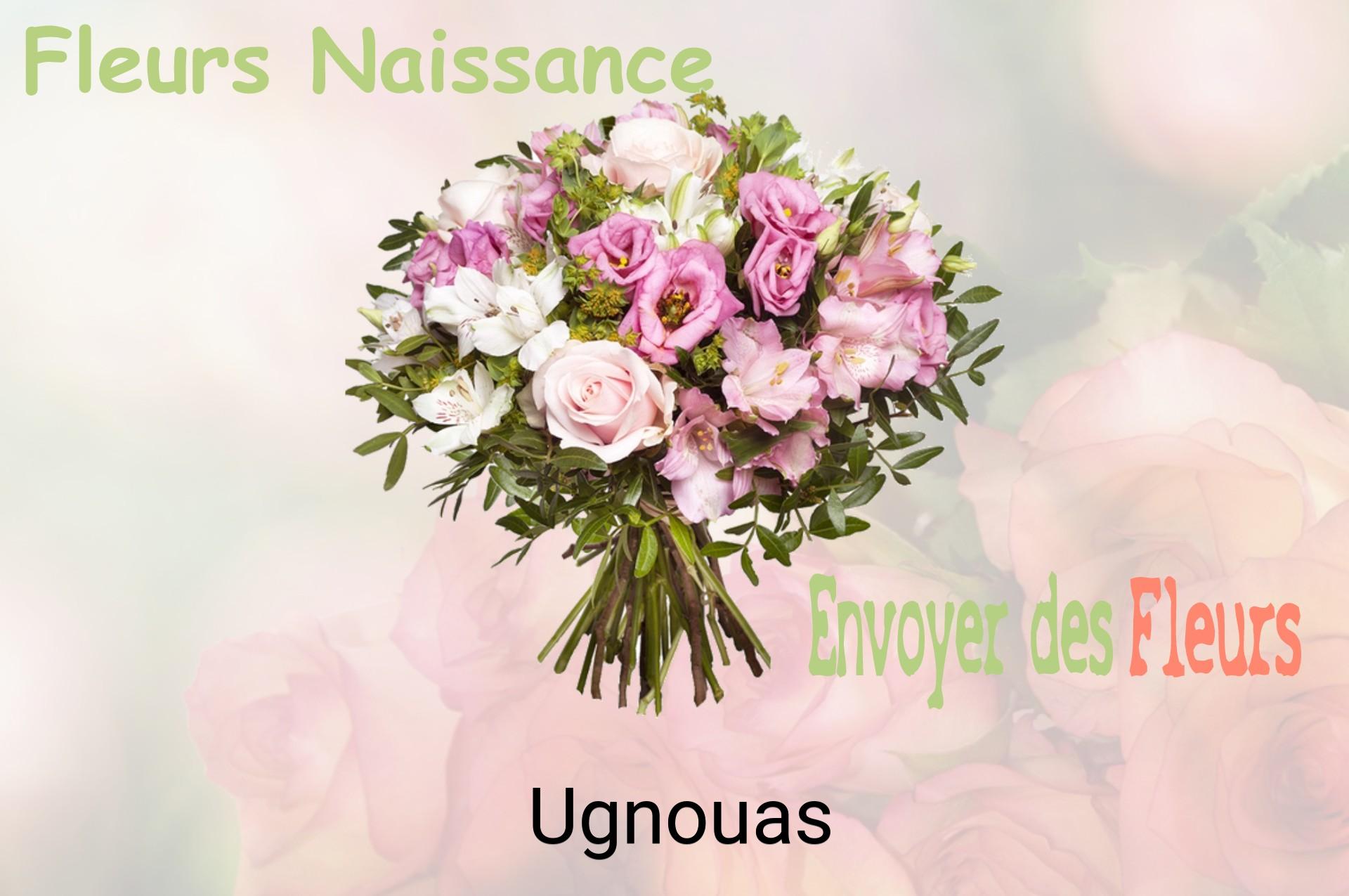 Bouquet de fleurs de naissance livré à Ugnouas