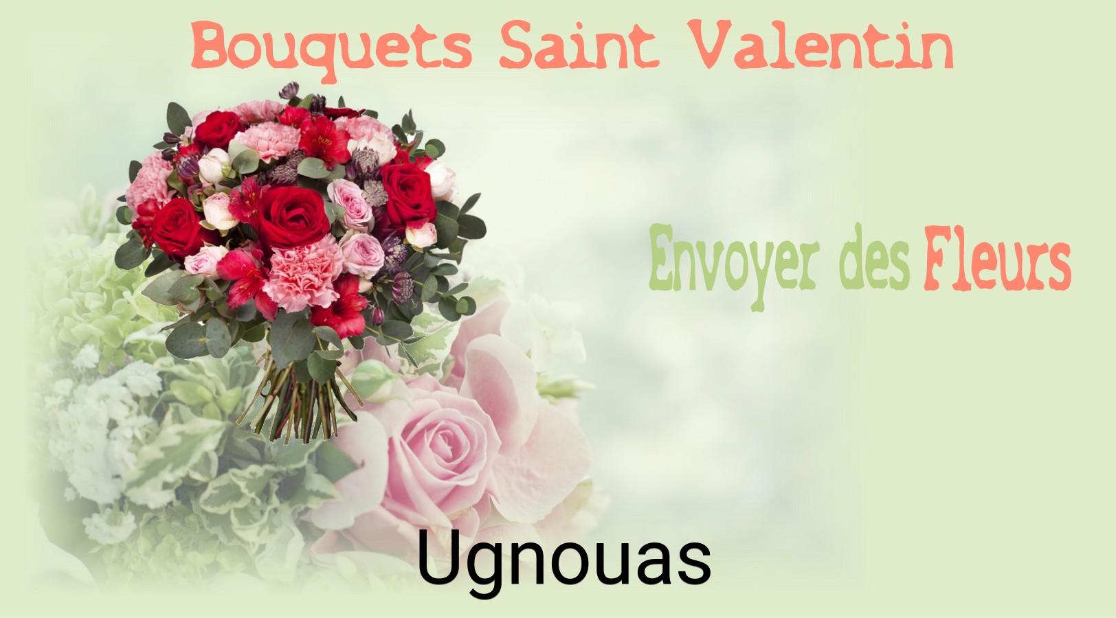 Roses de Saint-Valentin livrées à Ugnouas